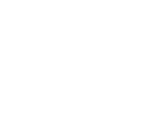 Reliure Artistique et Industrielle du Sud-Est, Vincent Bottasso-Daideri