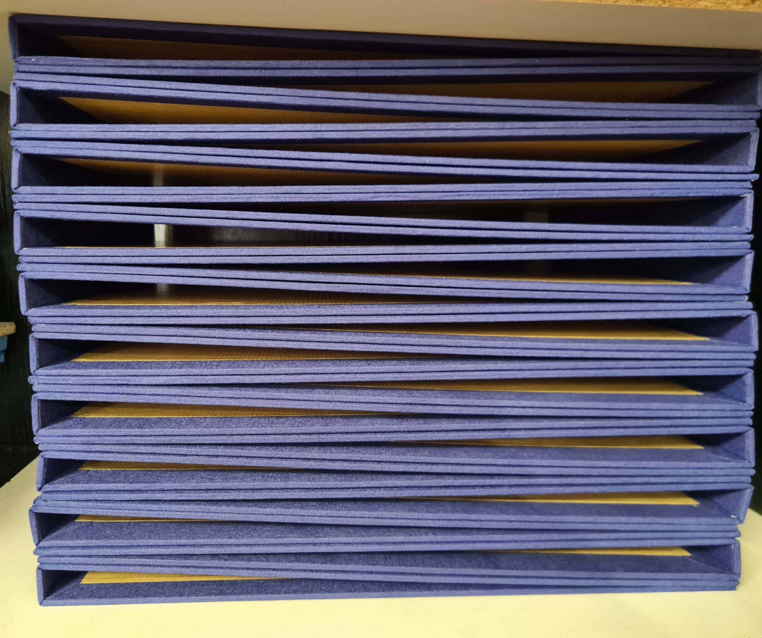 2025, une belle année de reliure niçoise